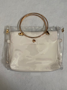 Transparent Teaser Purse