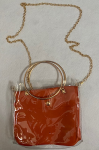 Transparent Teaser Purse