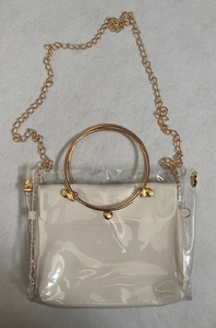 Transparent Teaser Purse