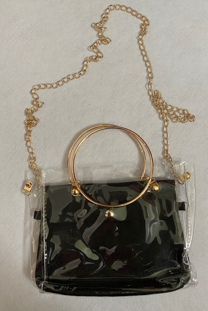 Transparent Teaser Purse